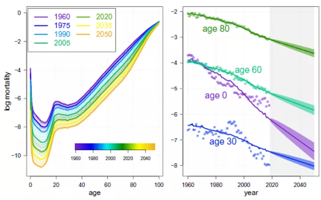 © Camarda et Basellini (2021)